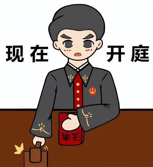 消费者权益保护法条文解读,条文解读:您的权益,我