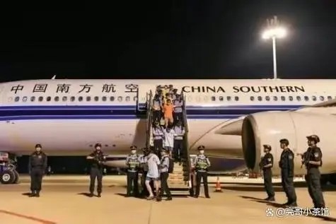 肿瘤治疗的新希望——关于免疫细胞疗法的政...