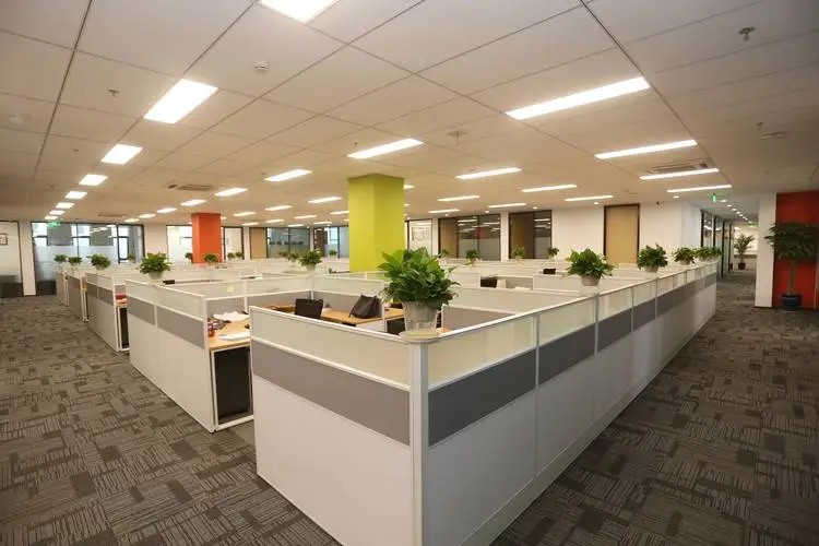 男子去世,遗产房居然归民政局而不是亲舅舅,合理吗?